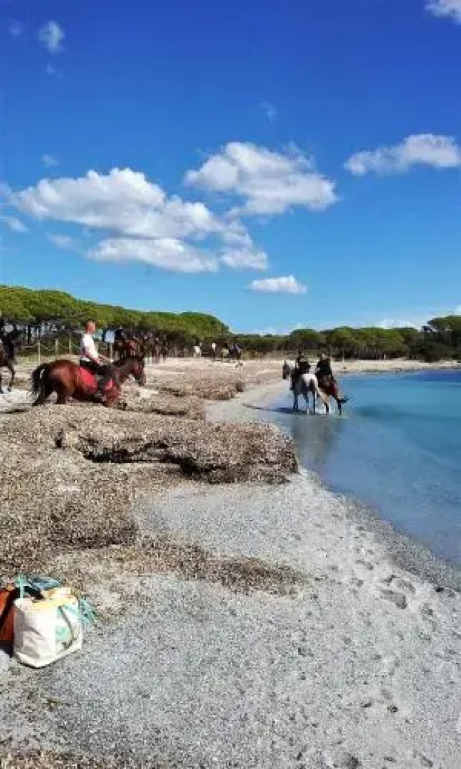 Casa Vacanze Diaz