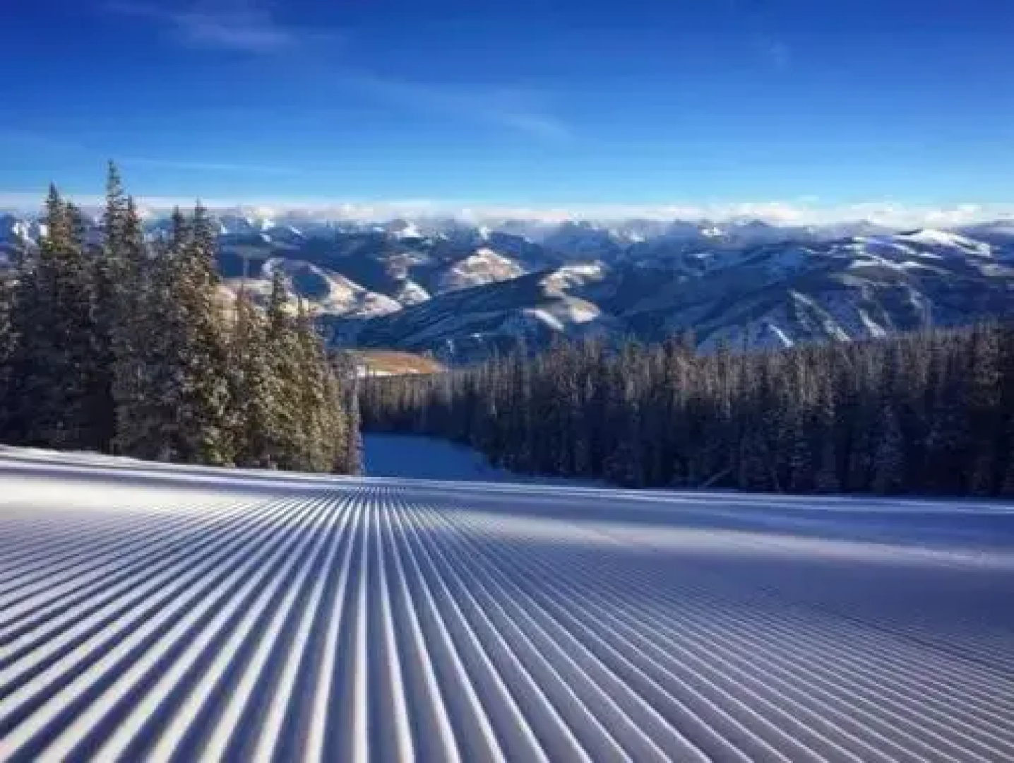 Beaver Creek Charter 1 Bed