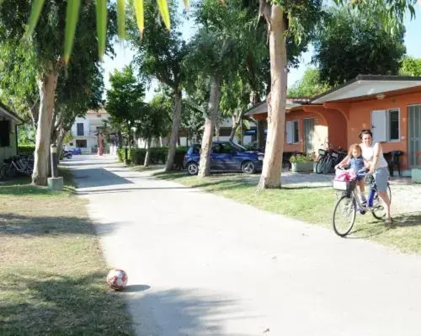 Camping  Village Eucaliptus
