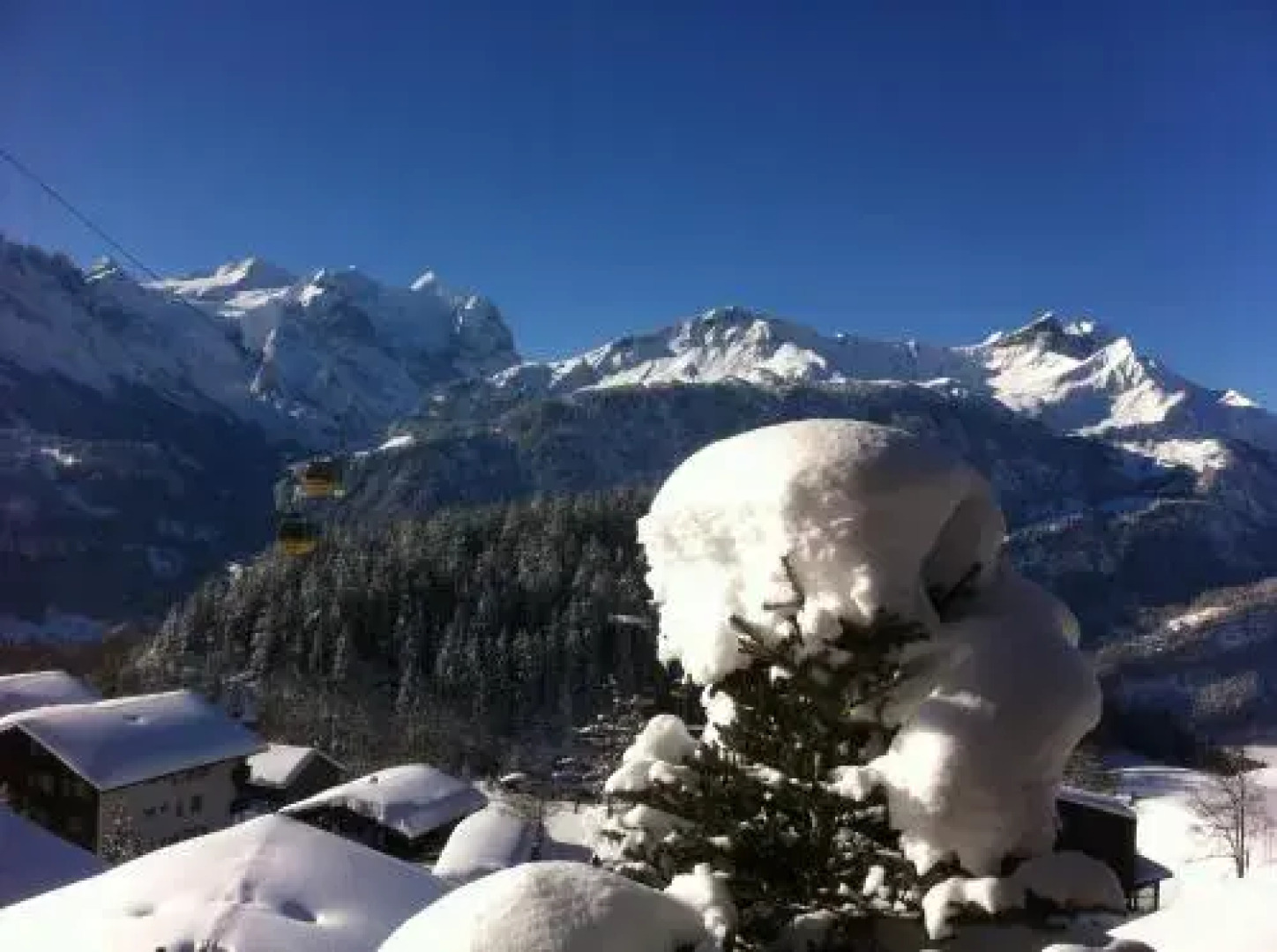 Ferienwohnung & Studio Schaad