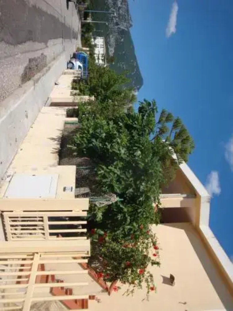 Osala