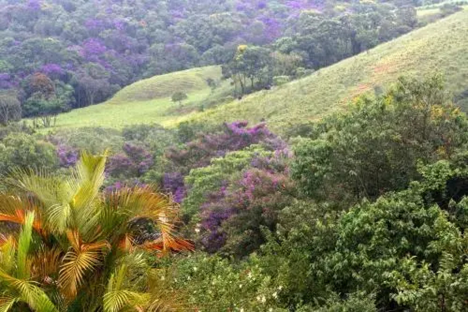 Bosque Dos Beija Flores Pousada E Spa
