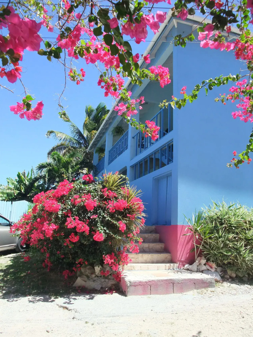 Ellen Bay Cottages