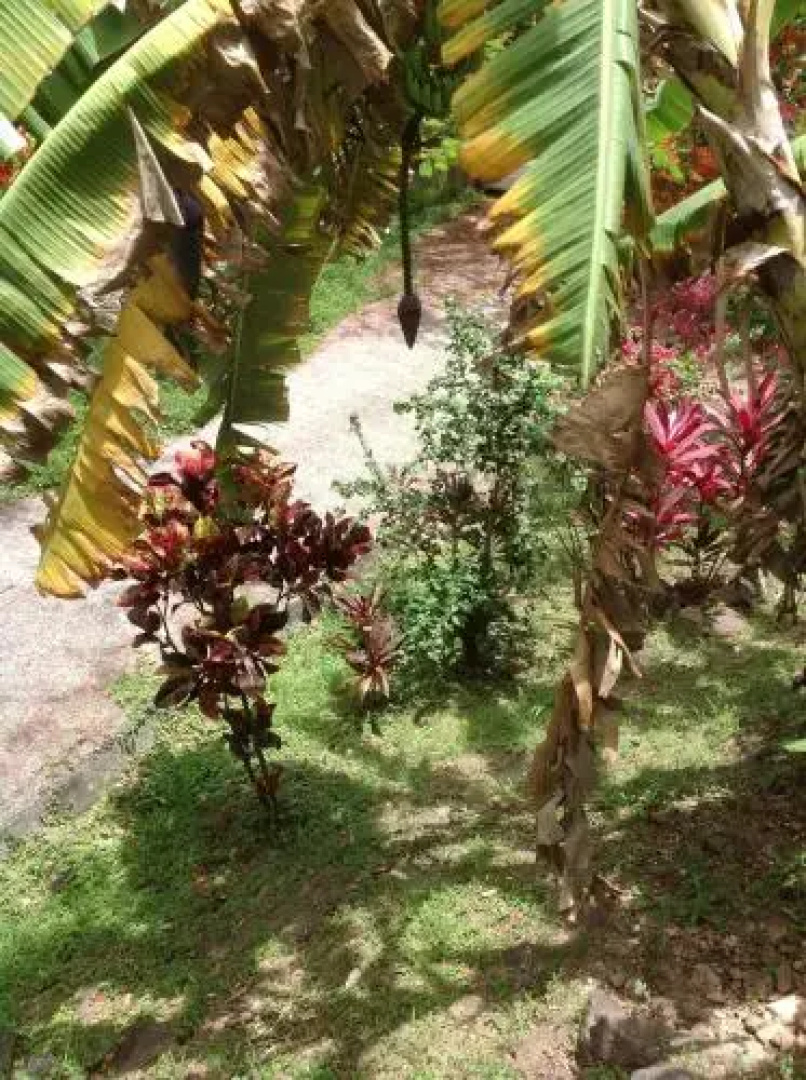Bungalow Residence petite anse II