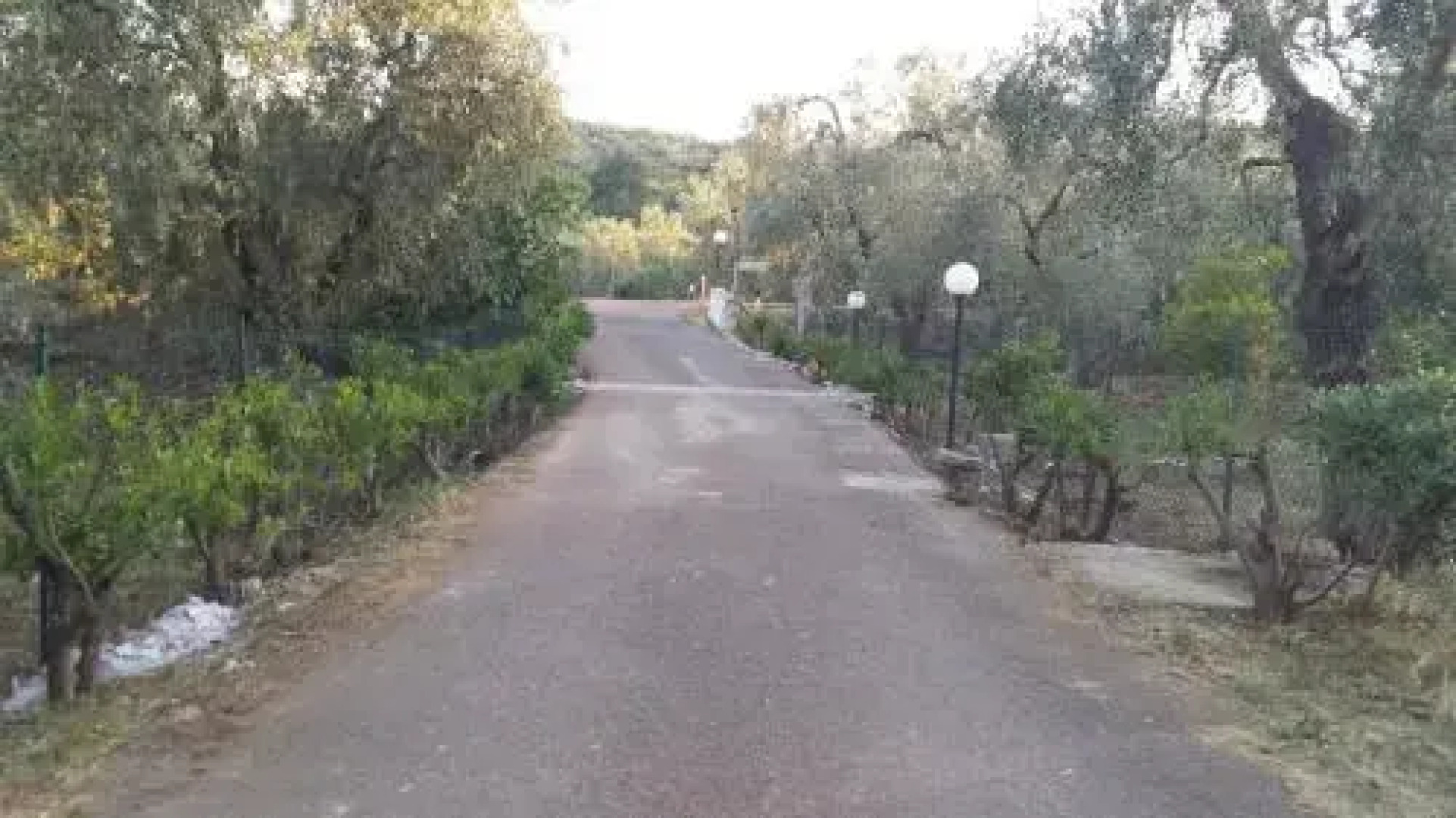 Agriturismo Azzarone