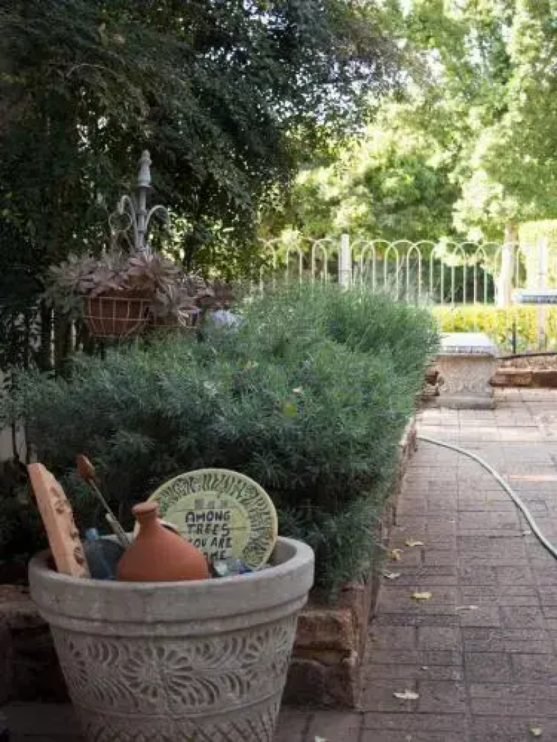 Birdsong B & B