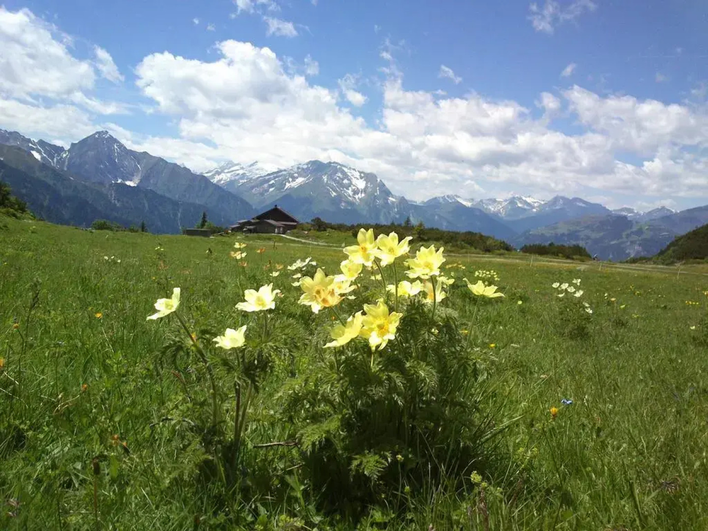 Ferienwohnungen Kröll - Appartements Viktoria und Landhaus Maria
