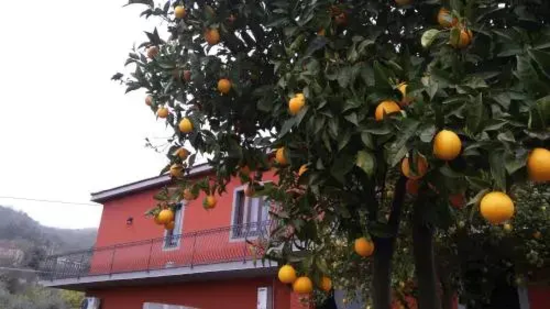La Sorgente dell'Etna