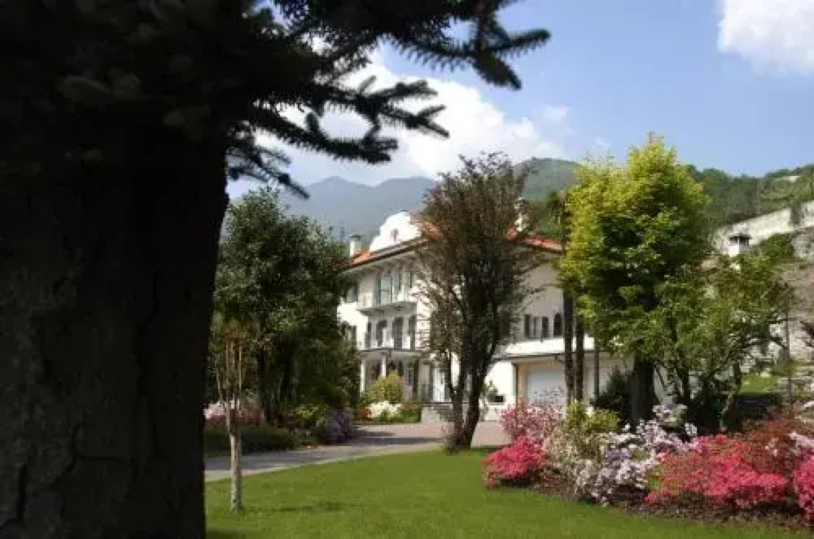 B&B Le Camelie