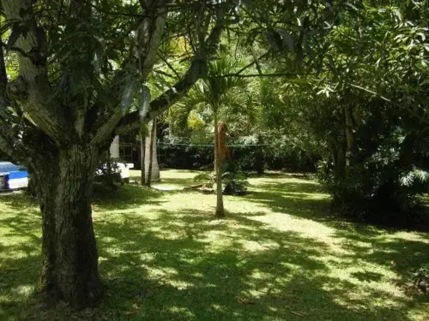 The Orchid Tree B&B Costa Rica