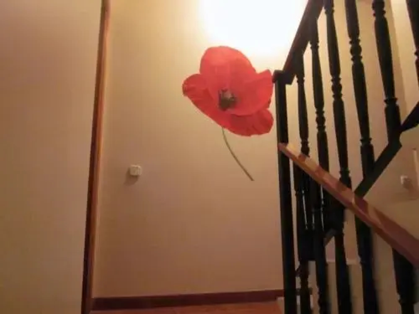 Casa Nostra Matarranya
