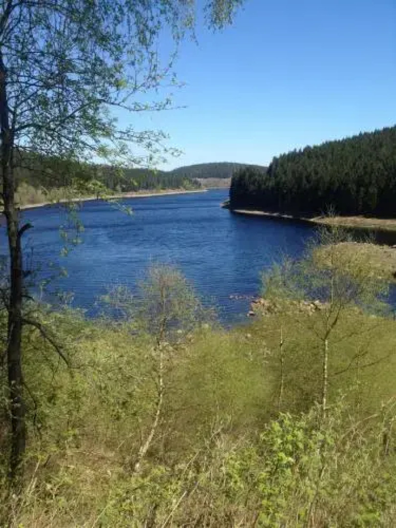 Ferienwohnung Florentine