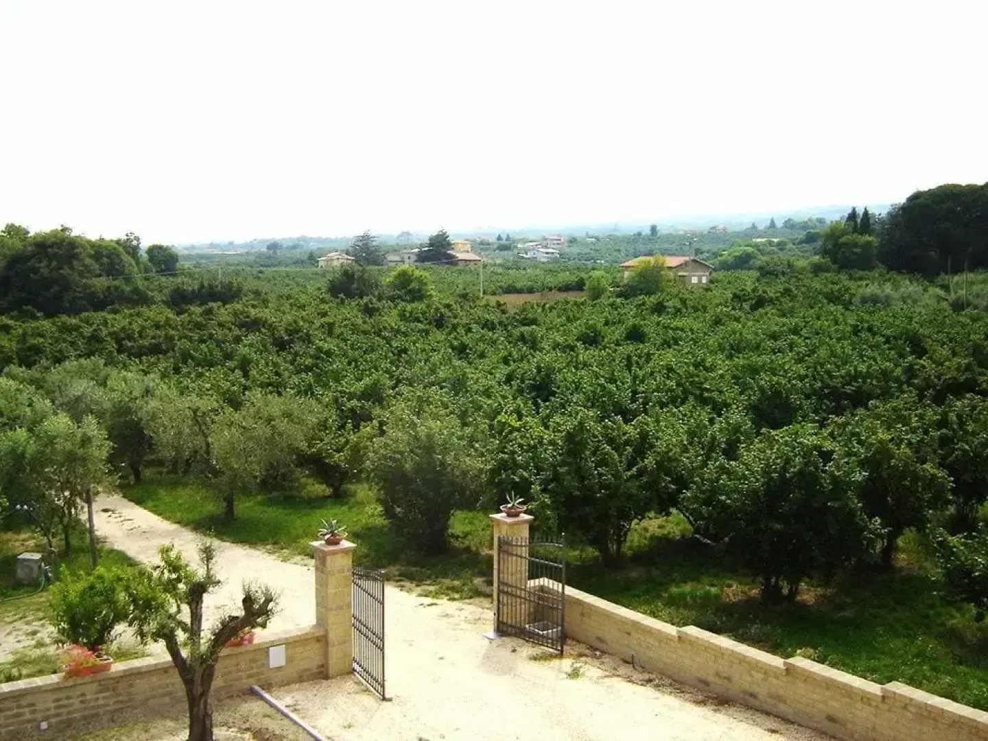 Agriturismo Casale Zuccari
