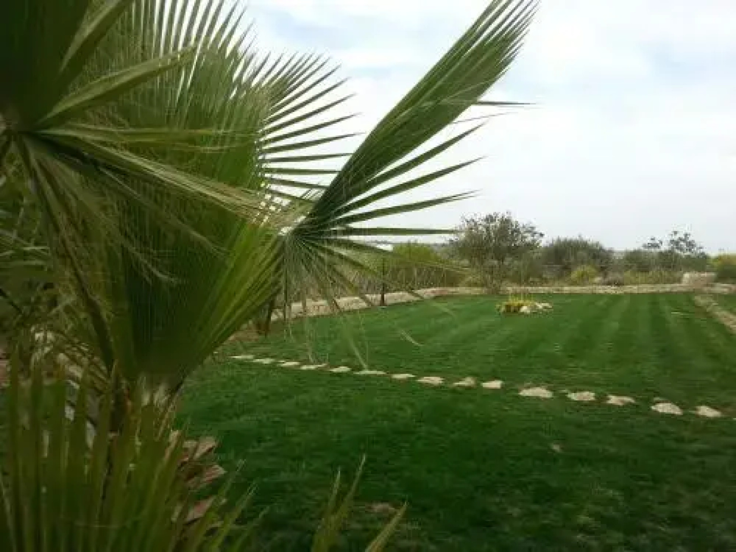 Tenuta Cancaleo