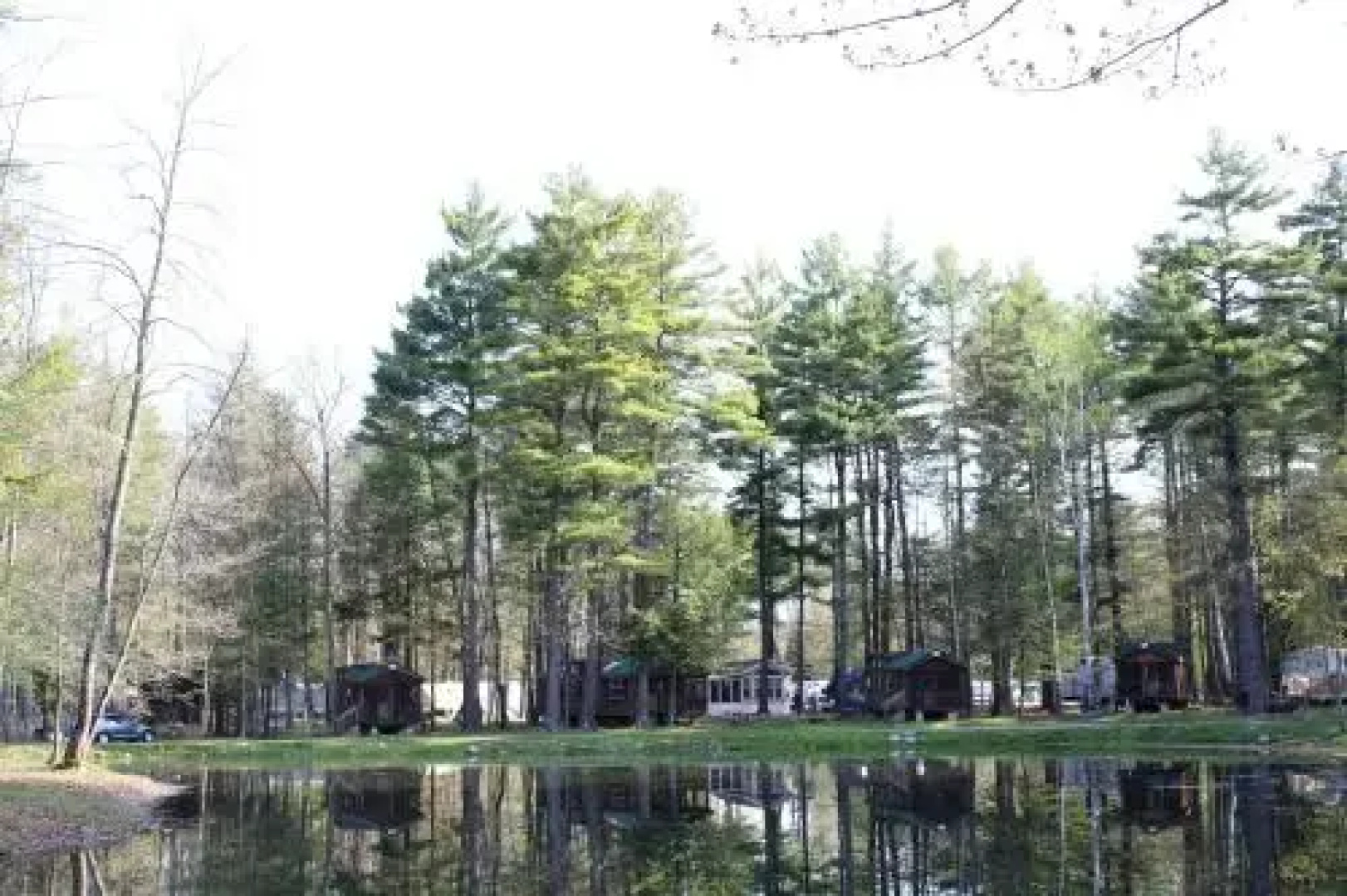 Alpine Lake Lakefront Cabin 6