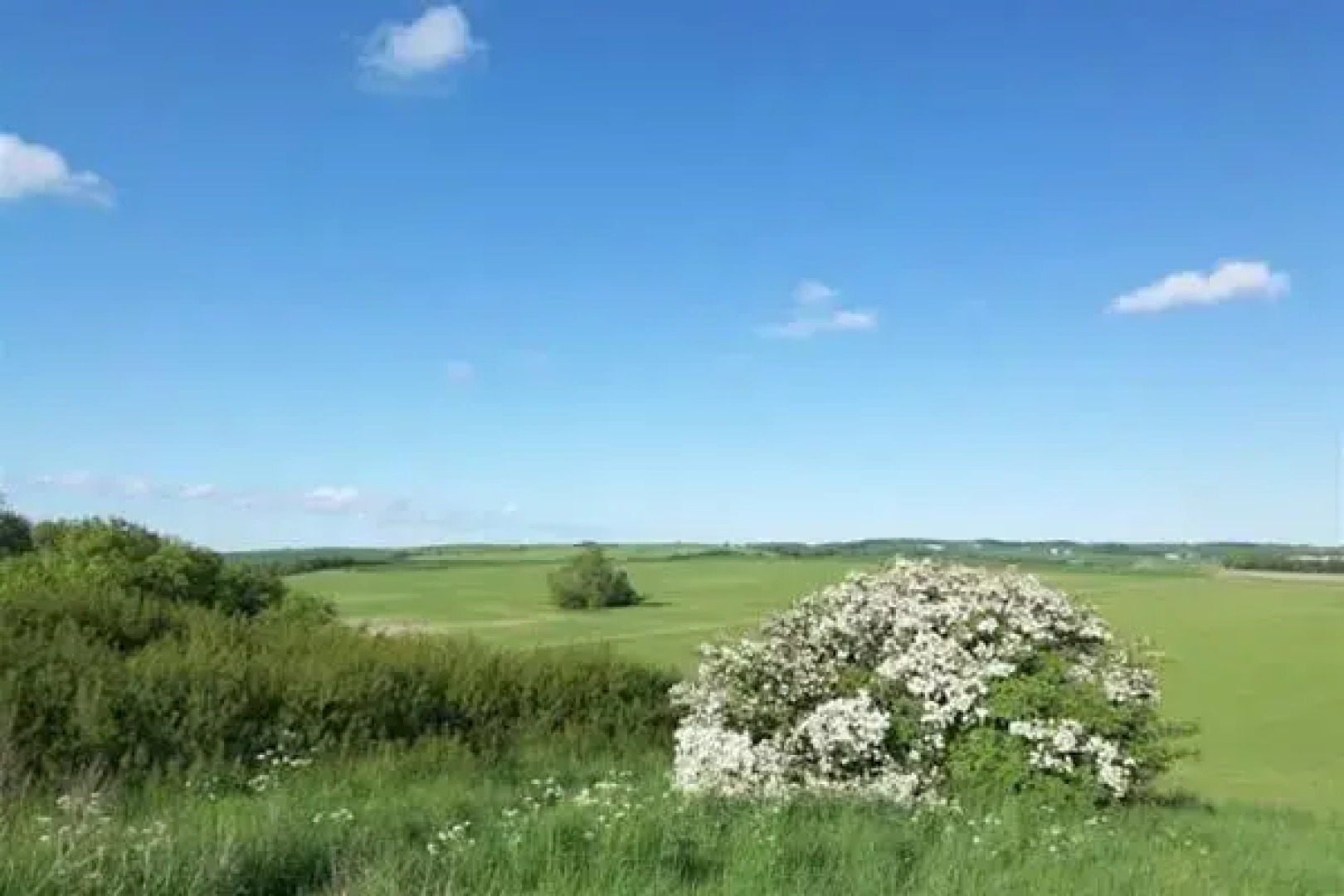 Strandhaus Mönchgut B&B