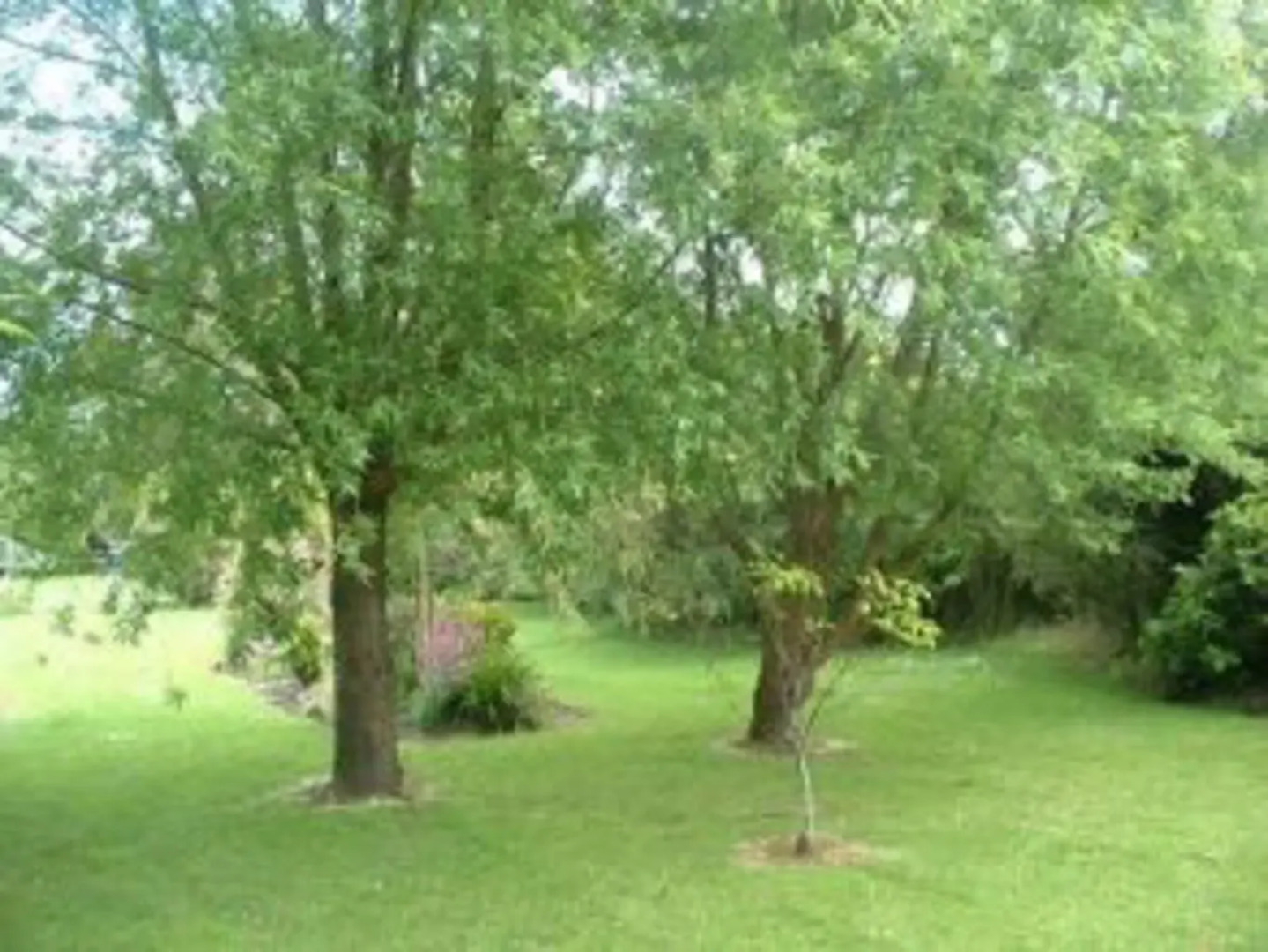 Garden Grove Motel and Apartments