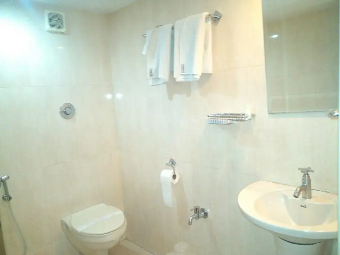 Hotel Veenu International