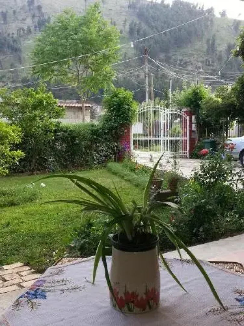 Veranda BB