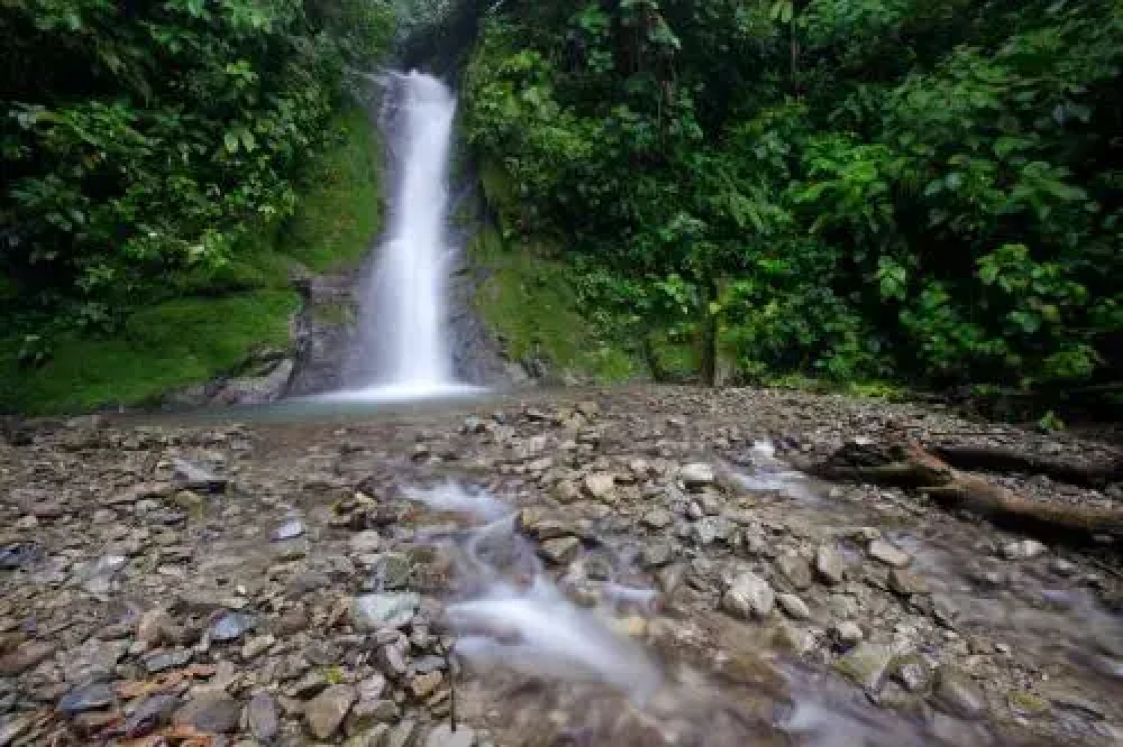 Selva Bananito Lodge