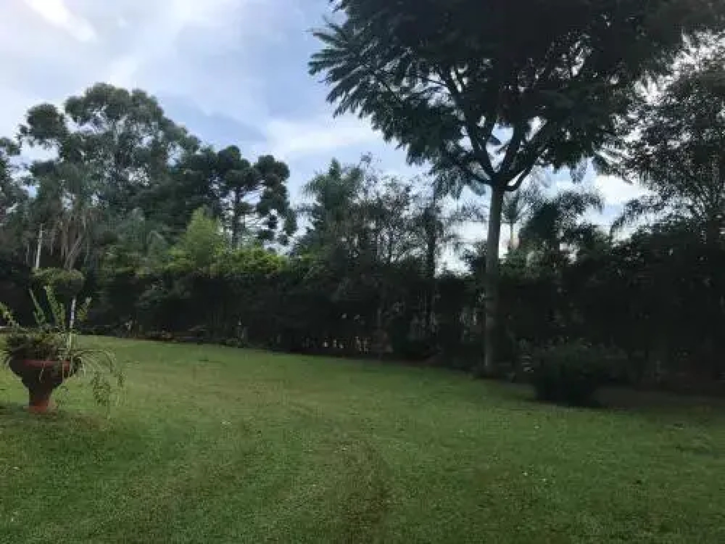 Cabañas Katy-Arte