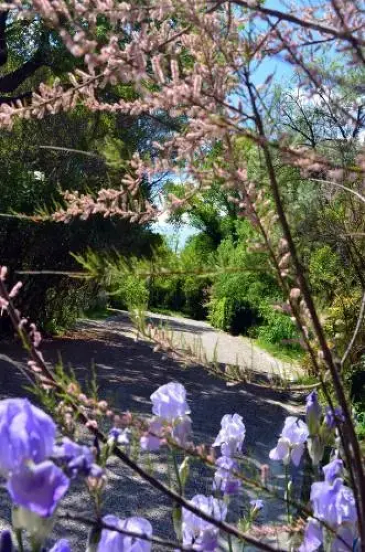 Domaine de la Coronne