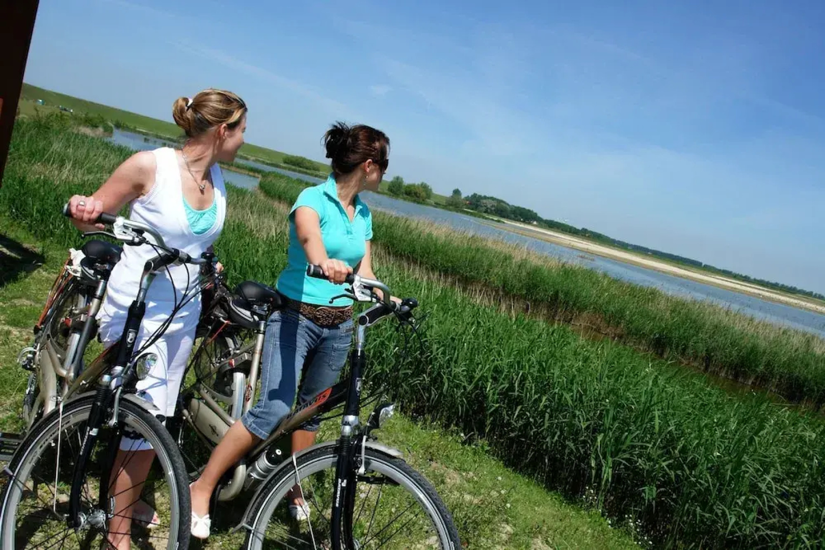 Duinhof Holidays