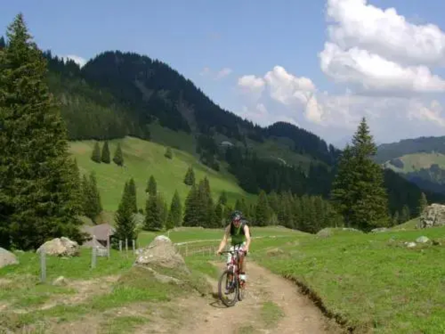 Chalet Murmeli