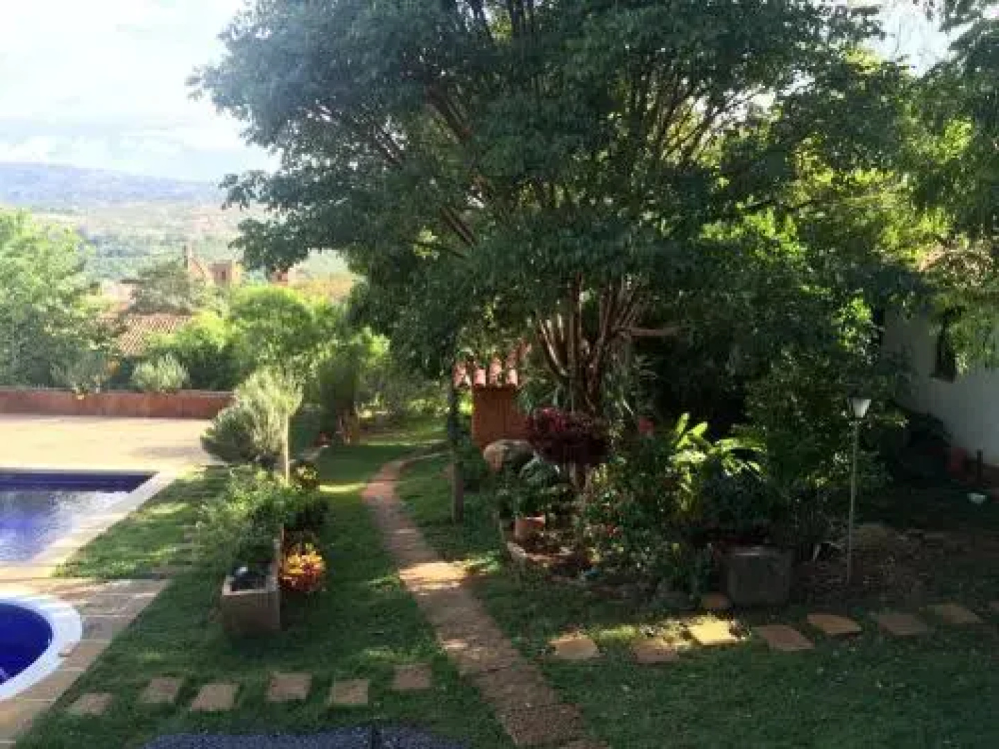 Arapaima B&B