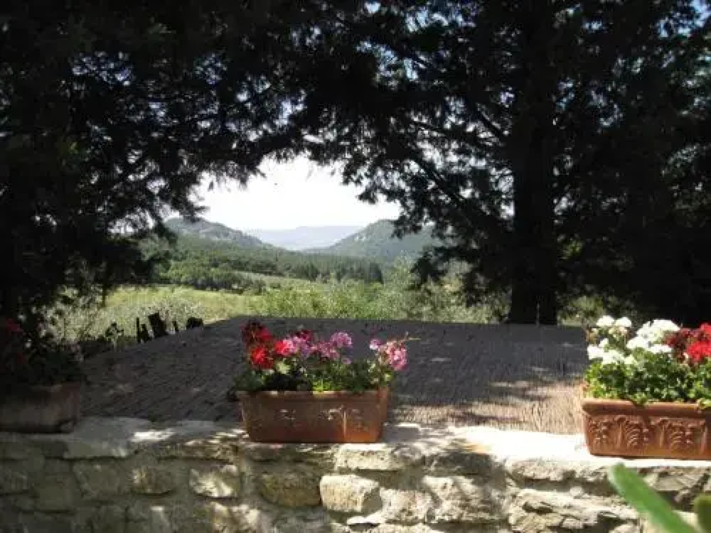 Colline Di Firenze Suite