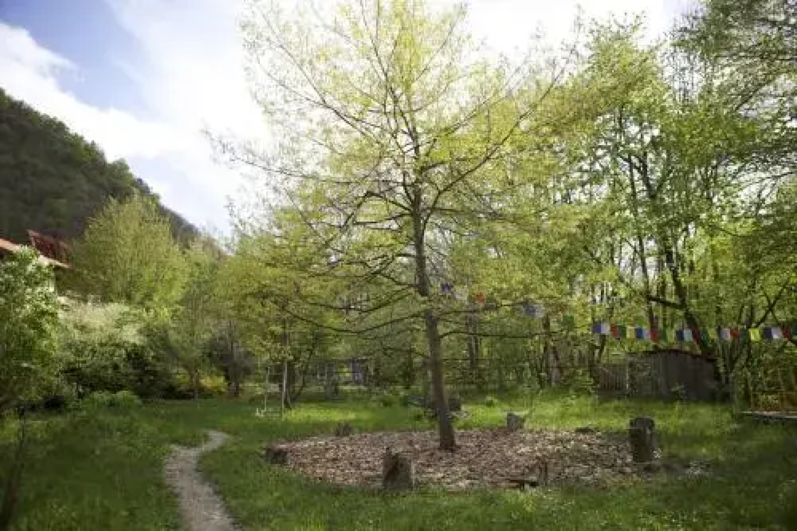 Casa di Creatività Natura Salute