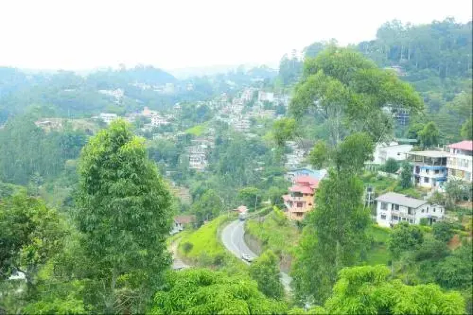 Hotel Green View