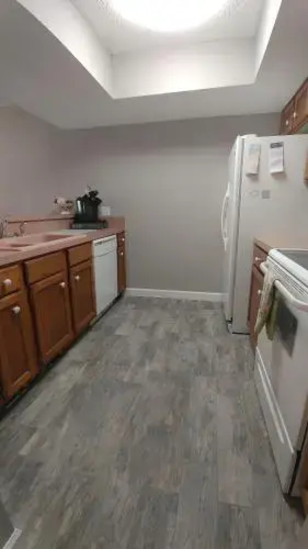 Ocean Village Coral Cluster 1112