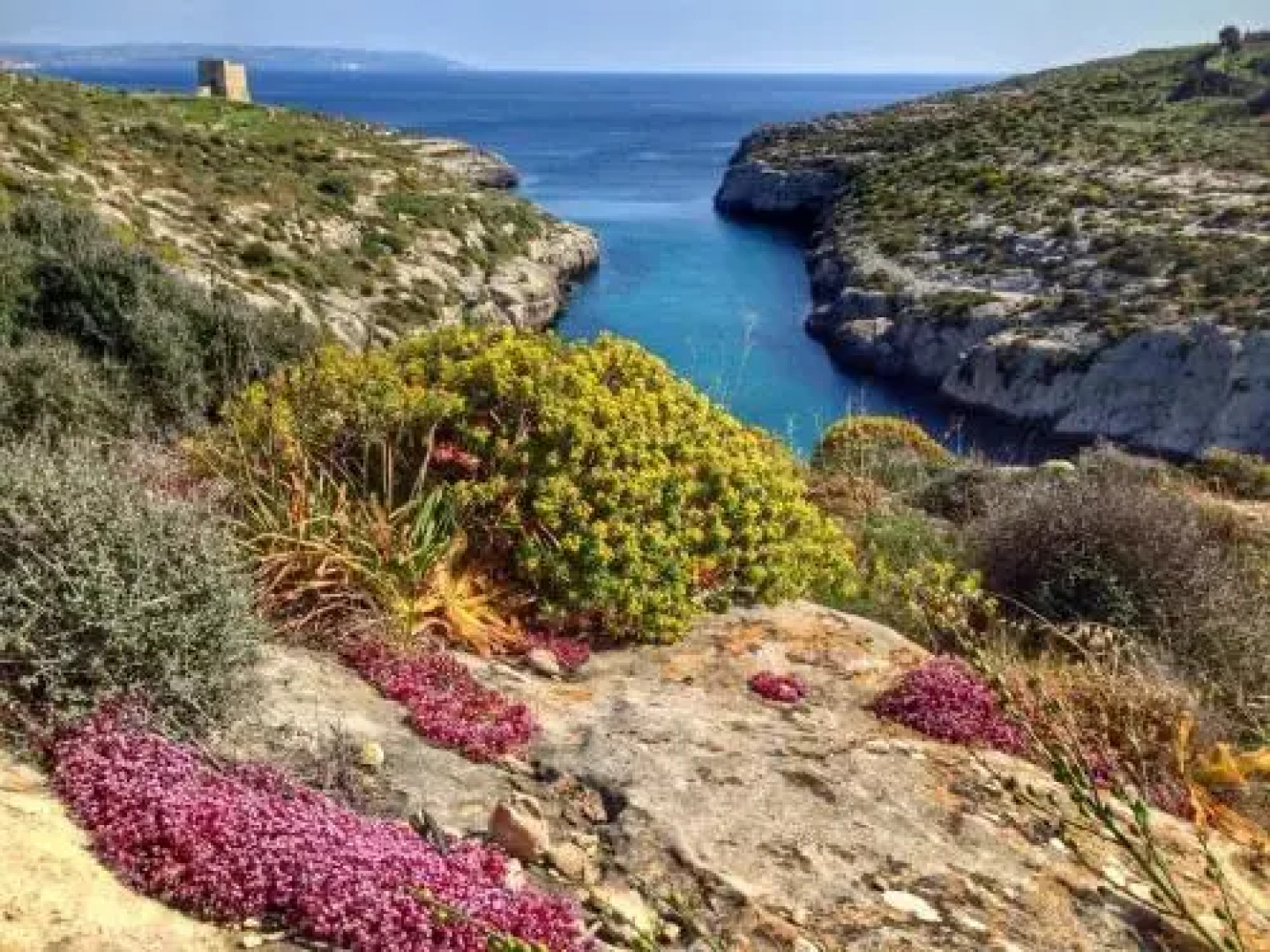 Bellevue Gozo