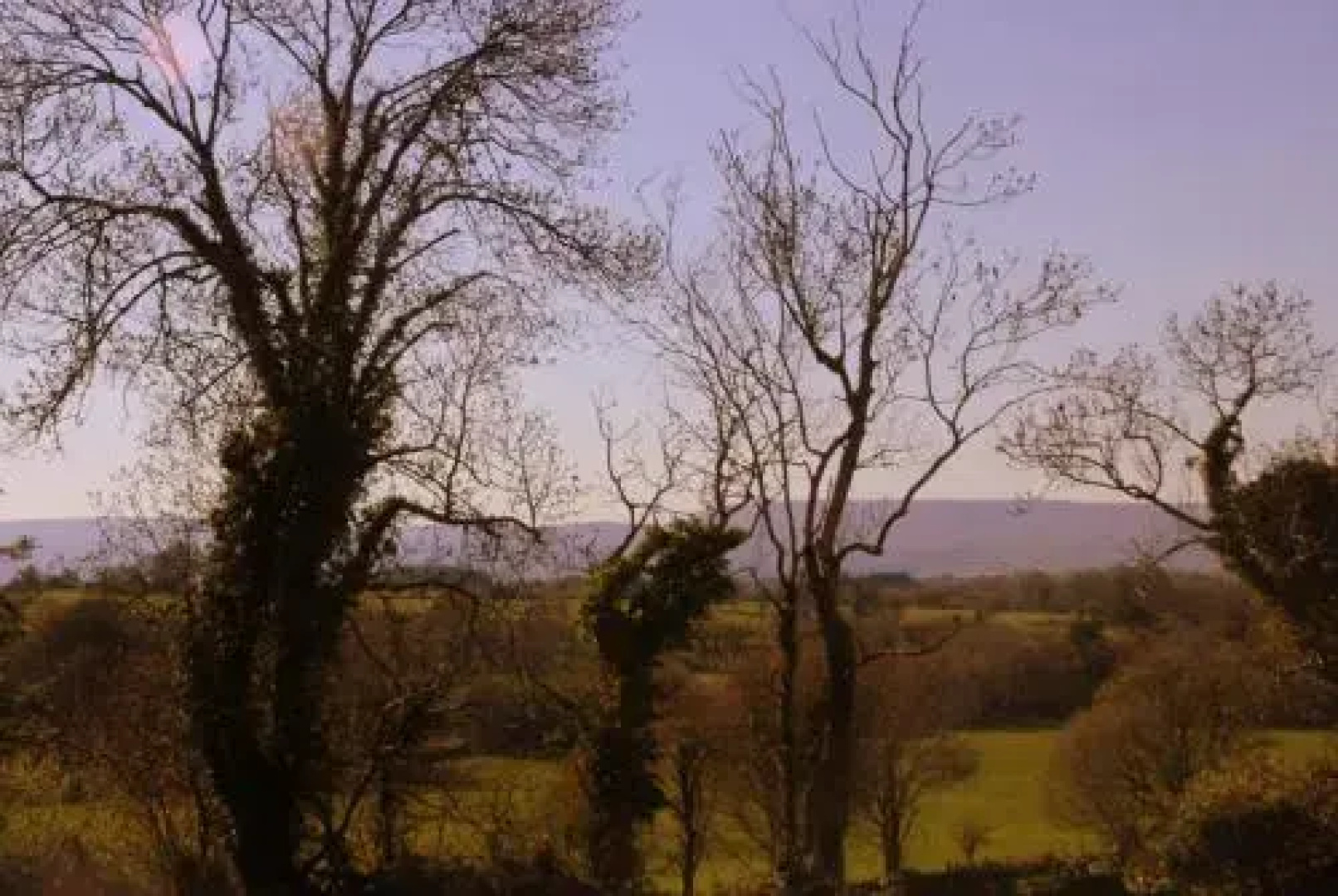 Woodview B&B