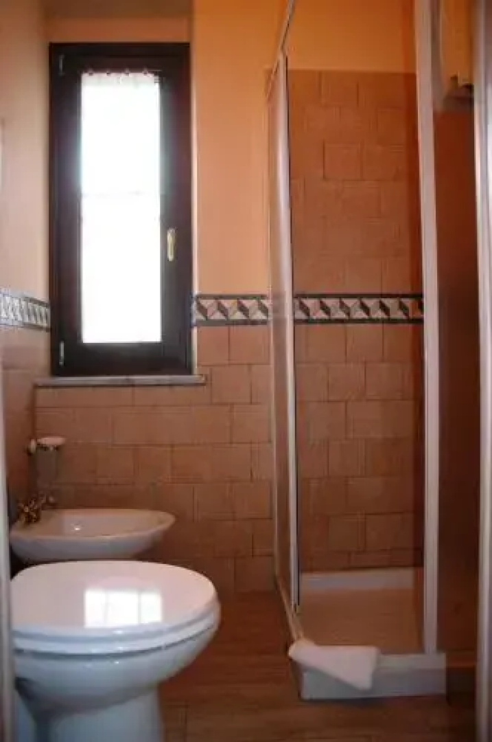 Il Cenerino