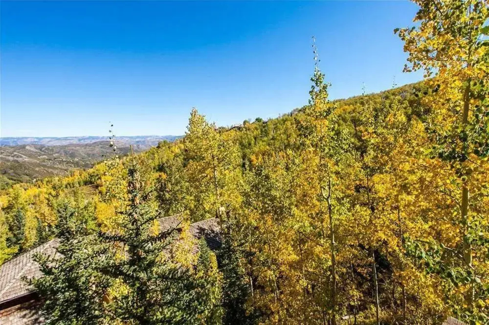 Black Bear Lodge by First Choice Property Management