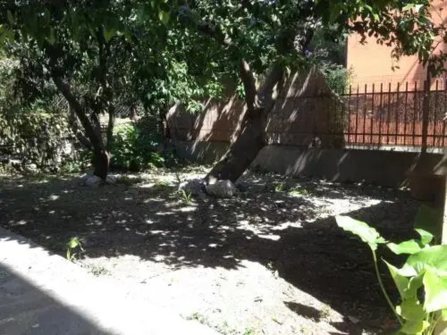 YourHome in Orbetello