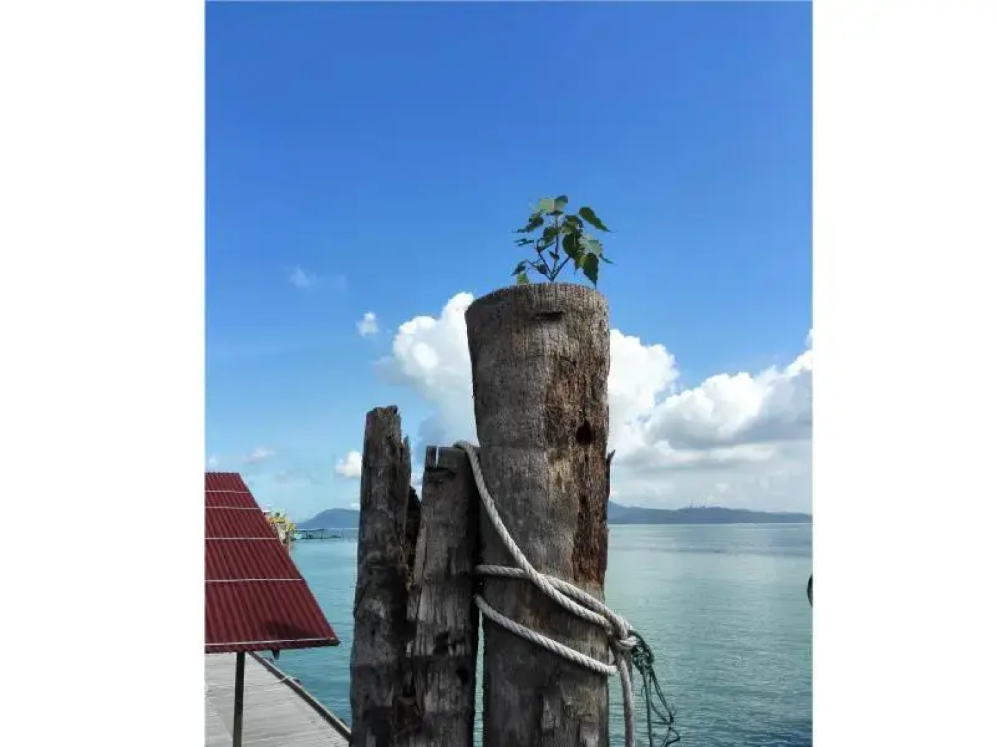 Pangkor Home Sea Village