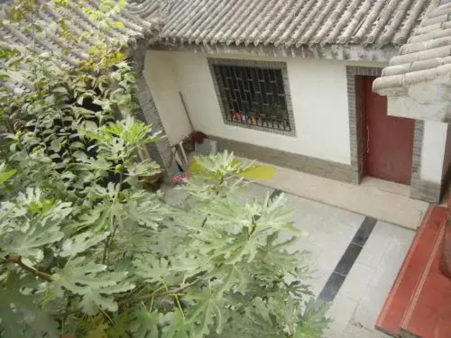 Terra Cotta Warriors Guesthouse