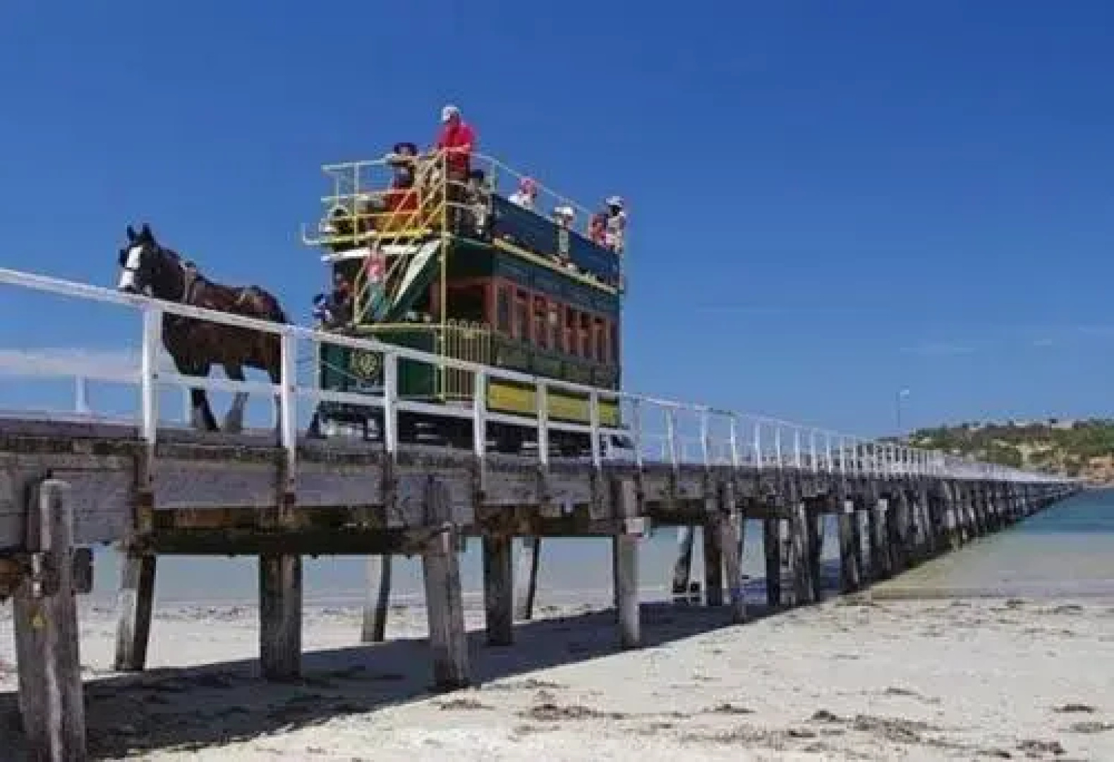 Middleton Beachhouse - Coast on Newell Views - Pet-Friendly