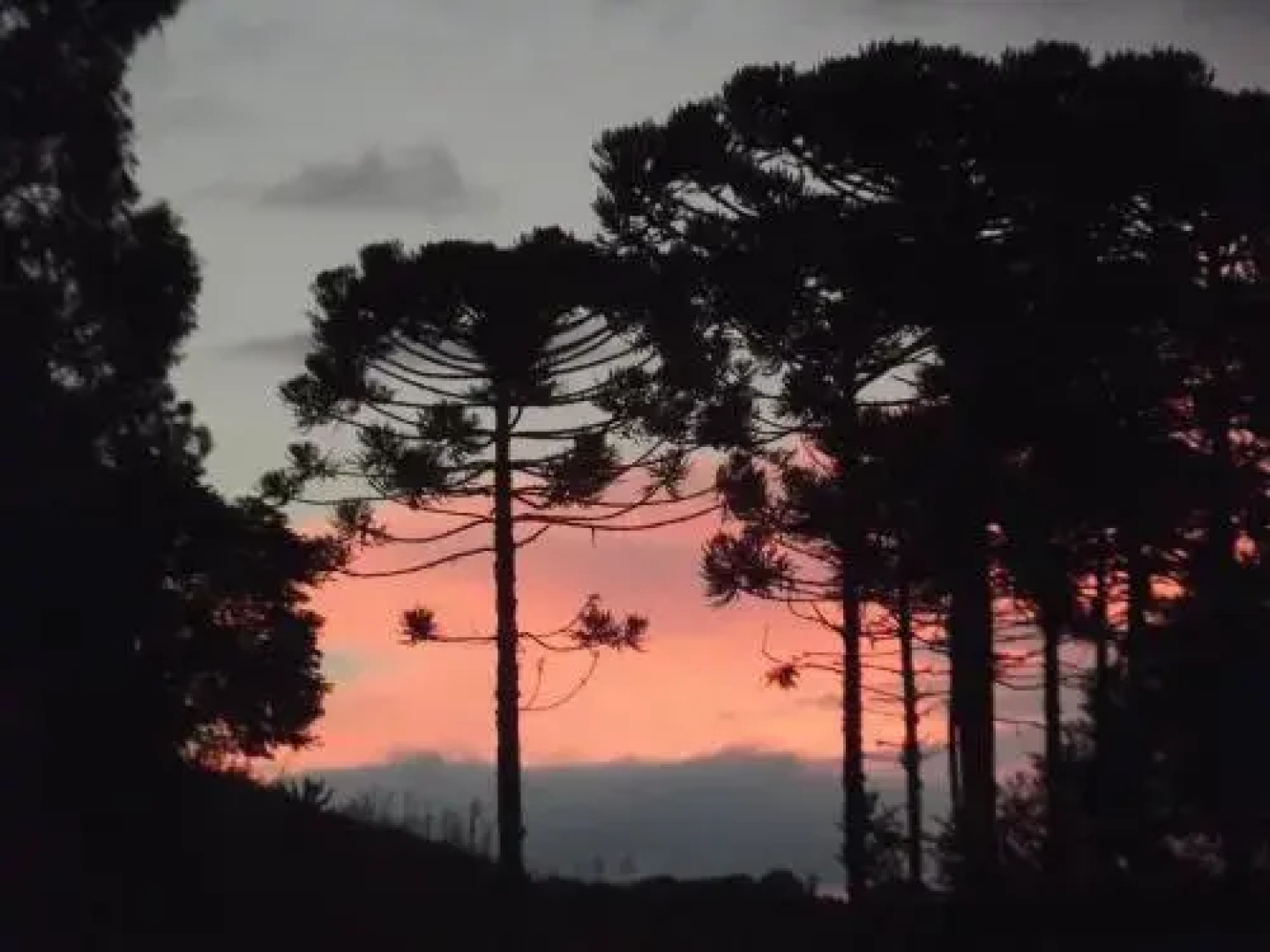 Pousada Pica Pau