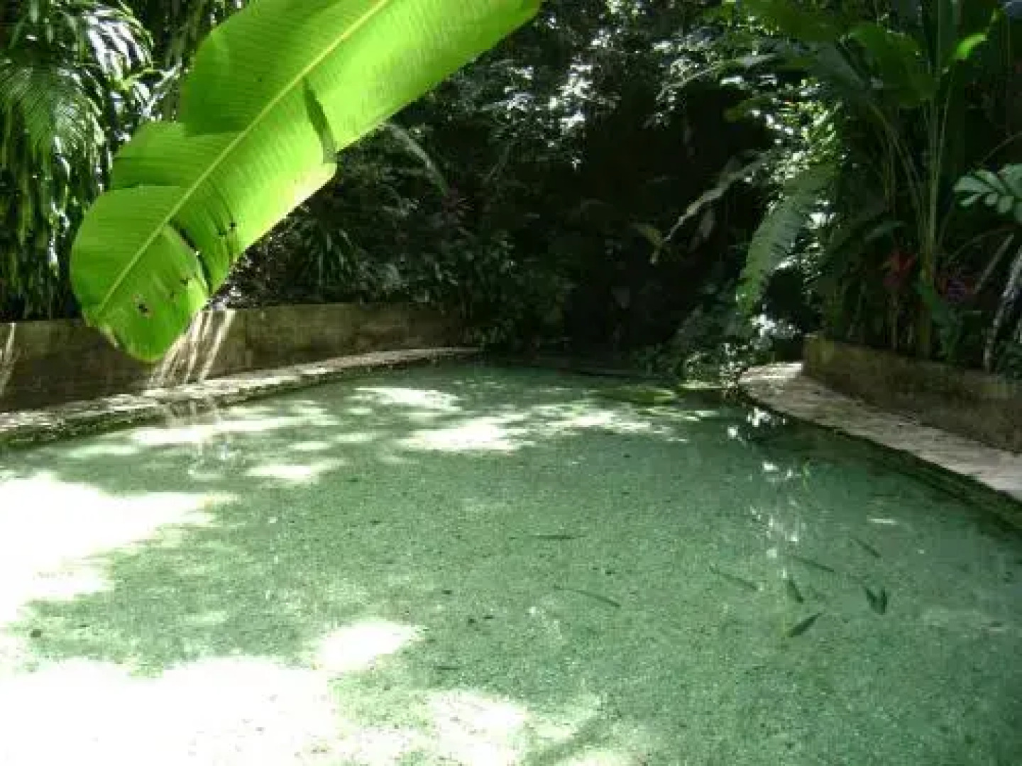 Pousada Jardim da Amazônia