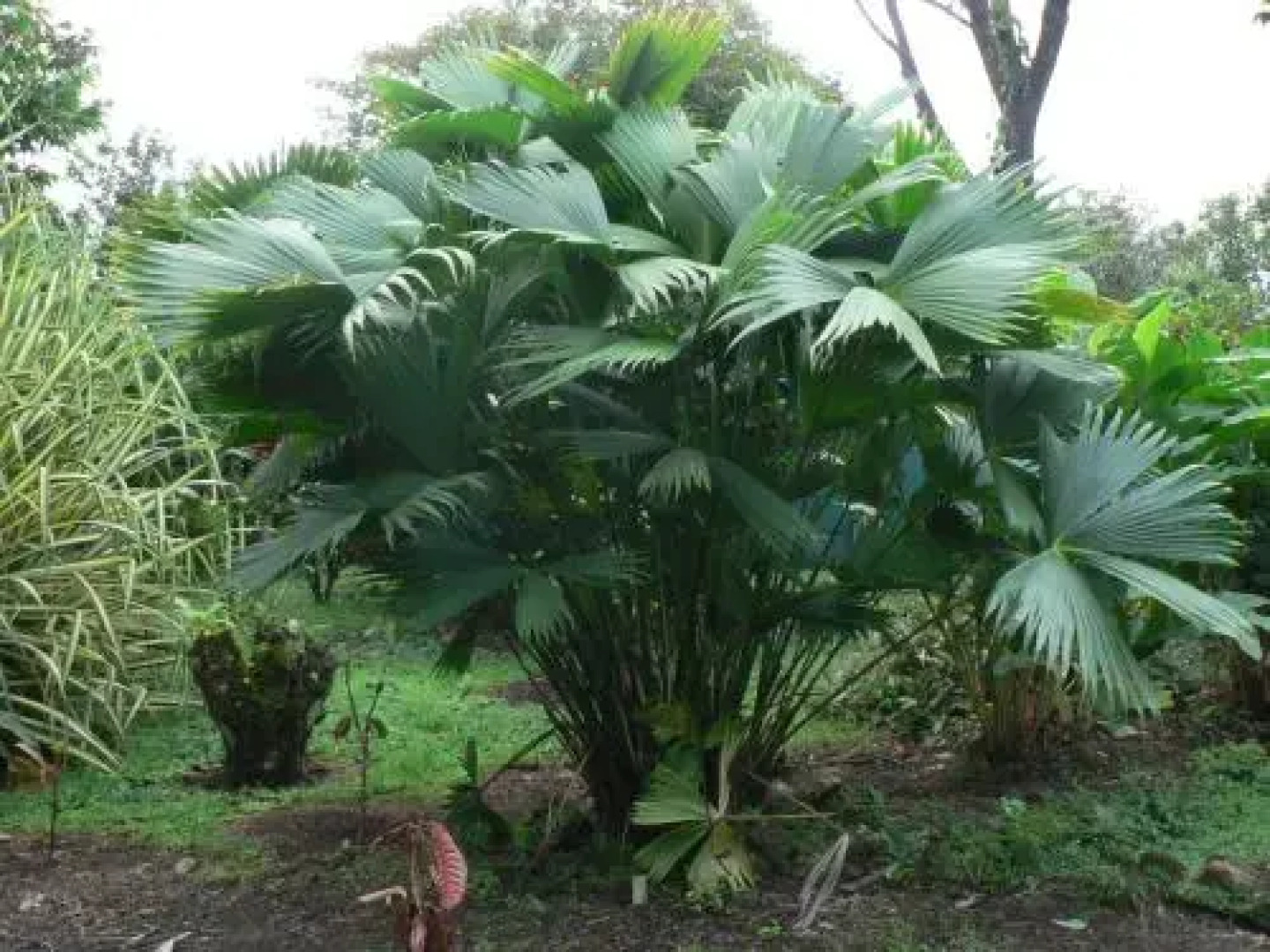 Hotel Roca Negra Del Arenal