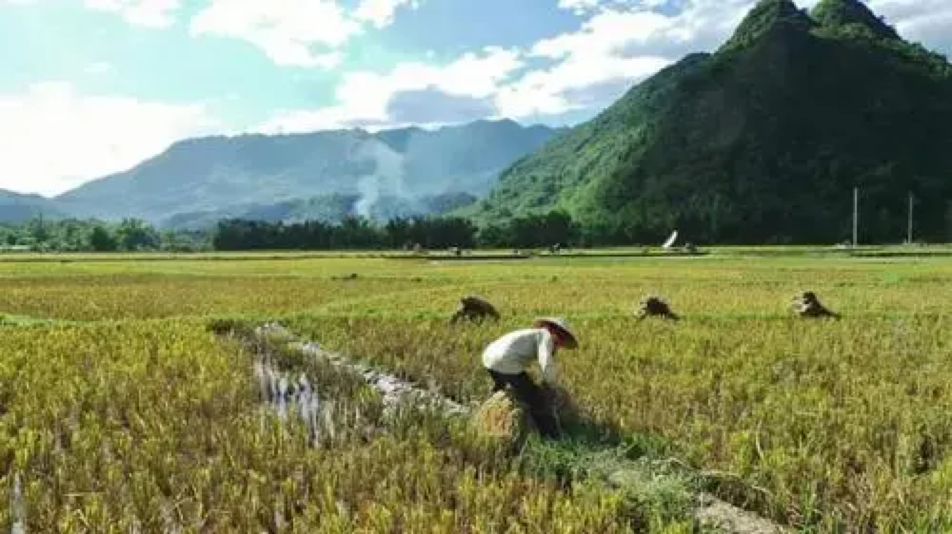 Eco Homestay - Hostel
