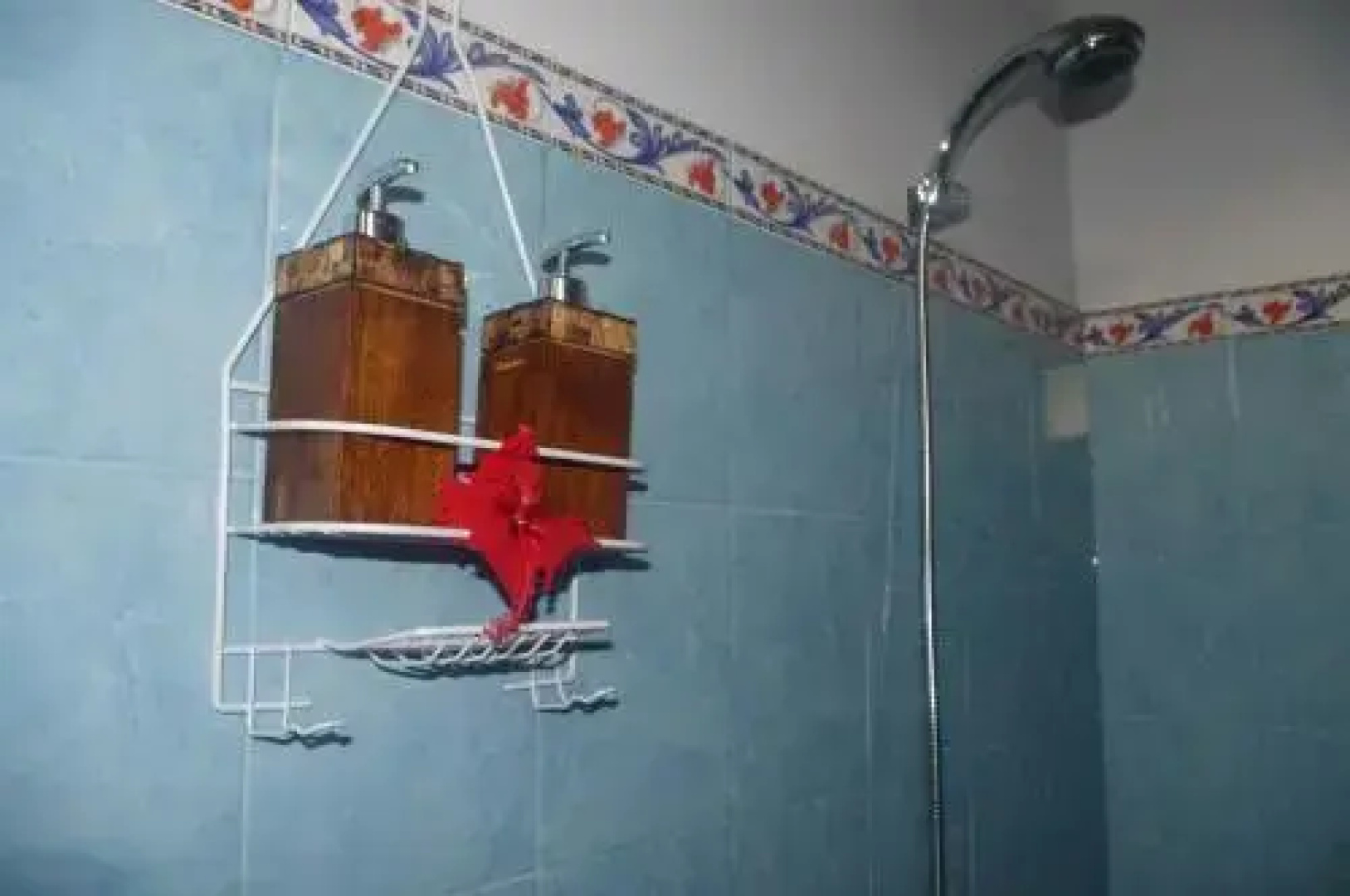 Ramaniya House