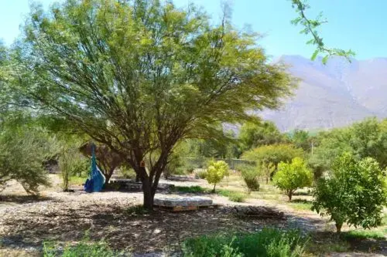 Bed & Breakfast ElquiTerra