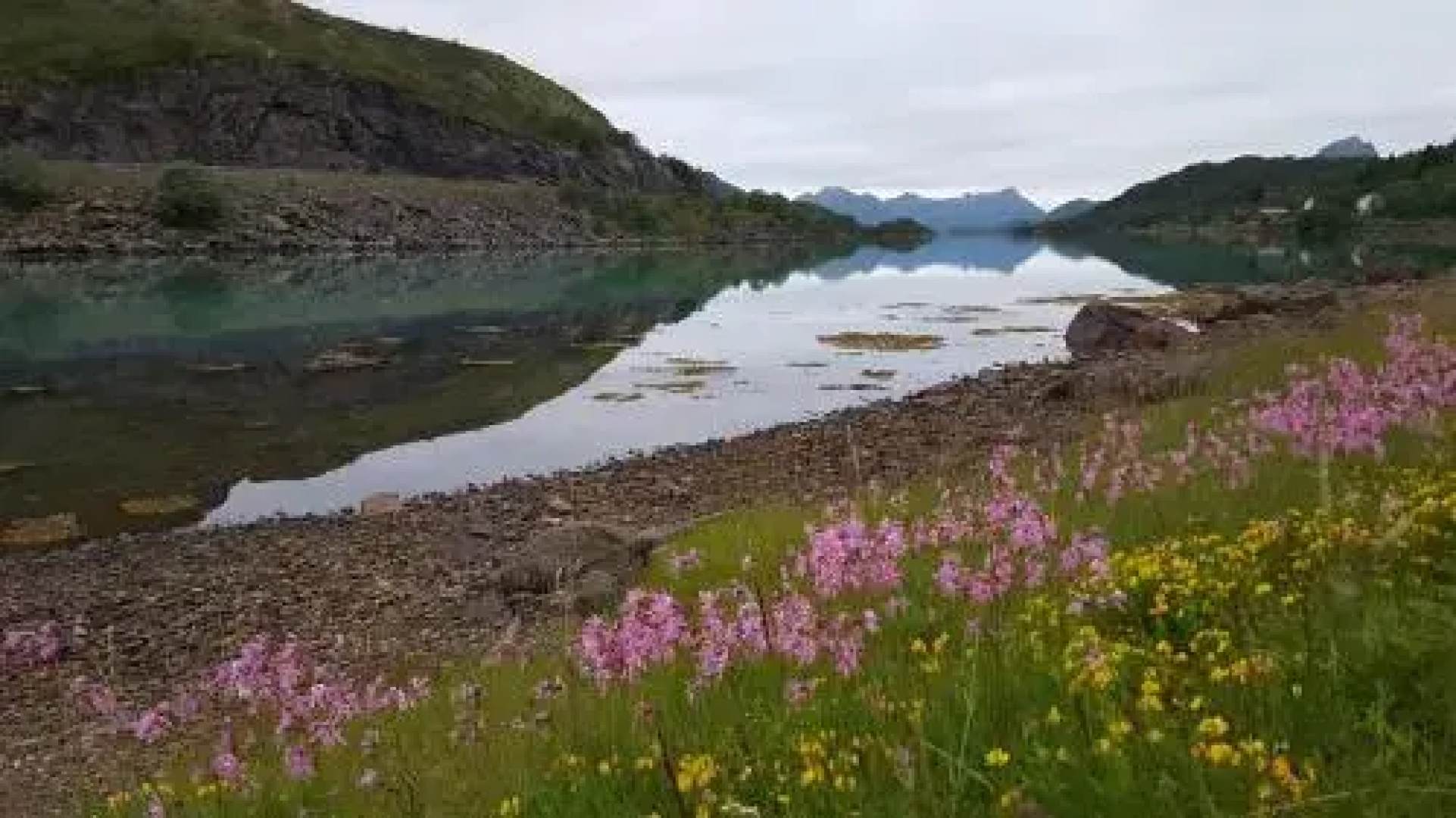 Skjellbogen Hyttegrend