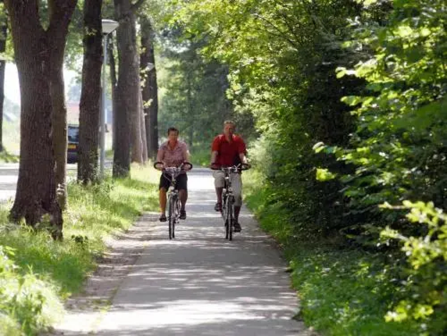 Vakantiepark Het Drentse Wold