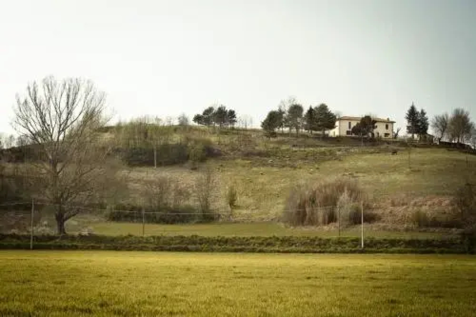 Agriturismo La Collina